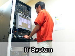 IT System